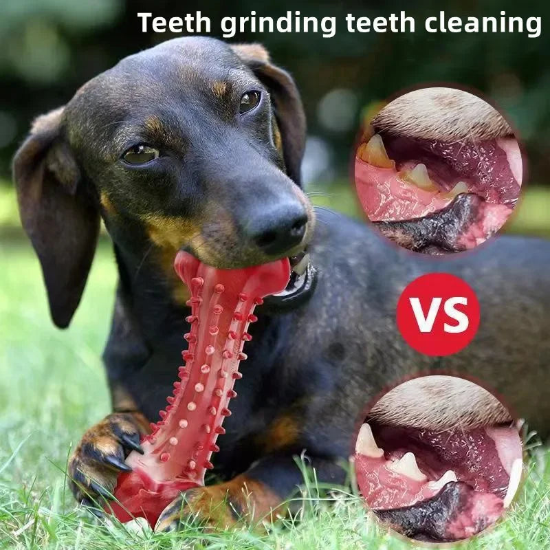Natural Rubber Dog Bone Chew Toy: Durable Teeth Cleaning Toy for Medium & Large Dogs