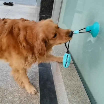 Interactive Dog Puzzle Toy Set – Suction Cup Rope Toy & Treat Dispensing Ball for Chewers, Teething & Boredom