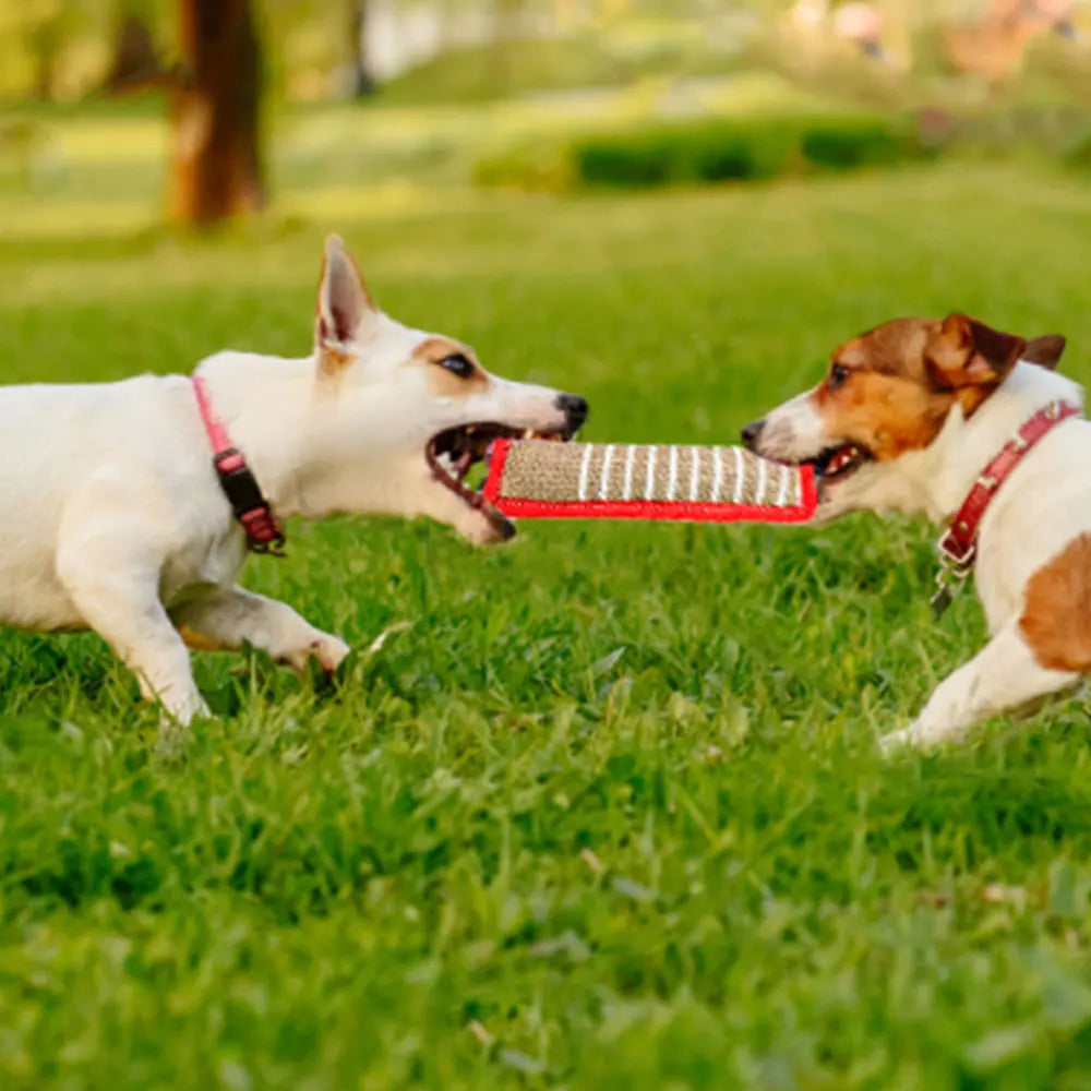 Dog Chew Stick Toy – Durable Teething & Teeth-Cleaning Bite Rod for Training, Small to Large Dogs