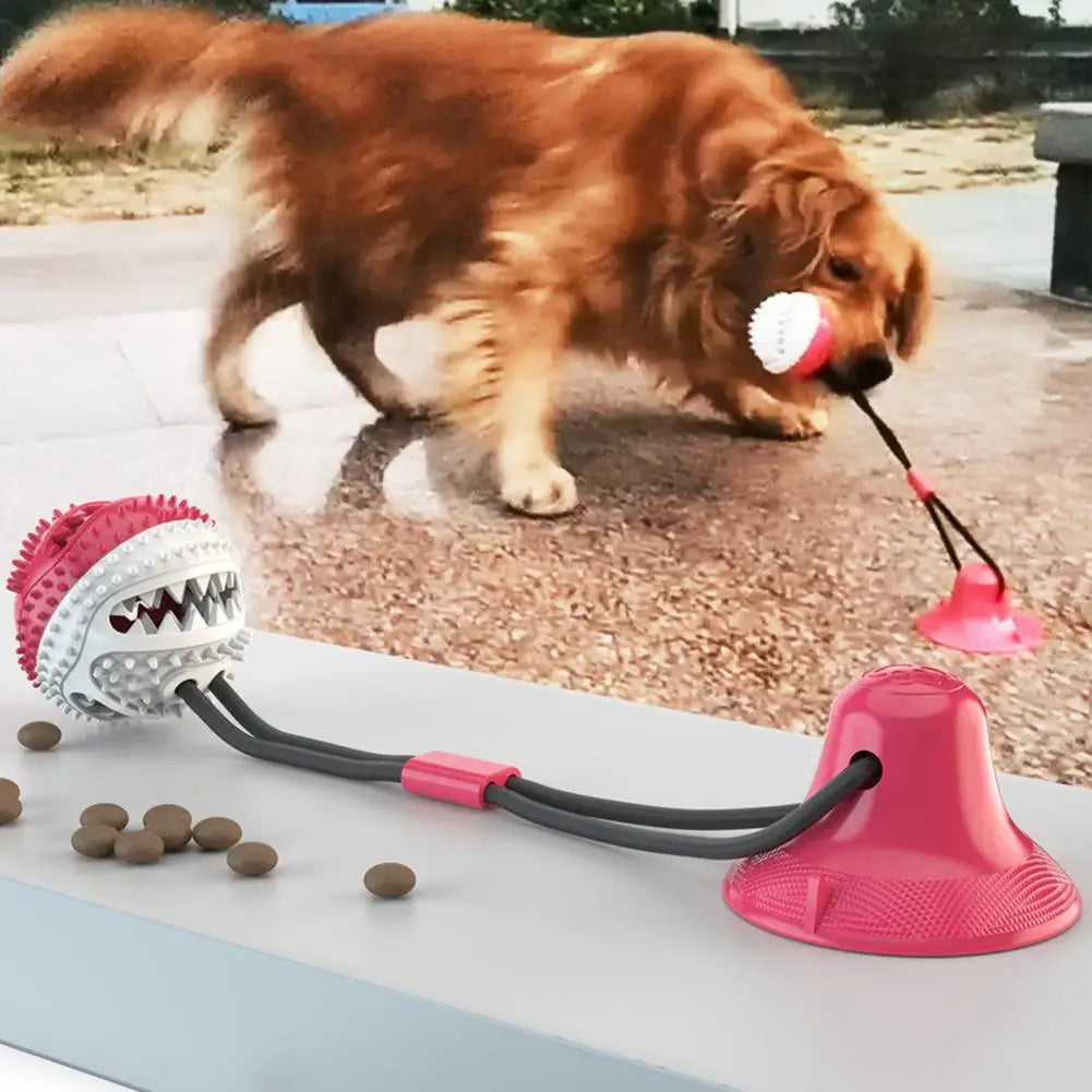 Interactive Dog Puzzle Toy Set – Suction Cup Rope Toy & Treat Dispensing Ball for Chewers, Teething & Boredom