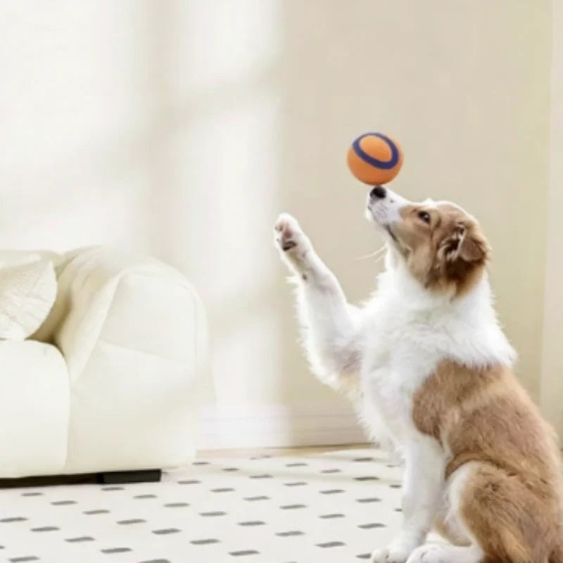 Tough Dog Ball: Solid Rubber Bouncy Fetch & Chew Toy for Small, Medium & Large Dogs and Puppies