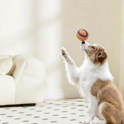 Tough Dog Ball: Solid Rubber Bouncy Fetch & Chew Toy for Small, Medium & Large Dogs and Puppies