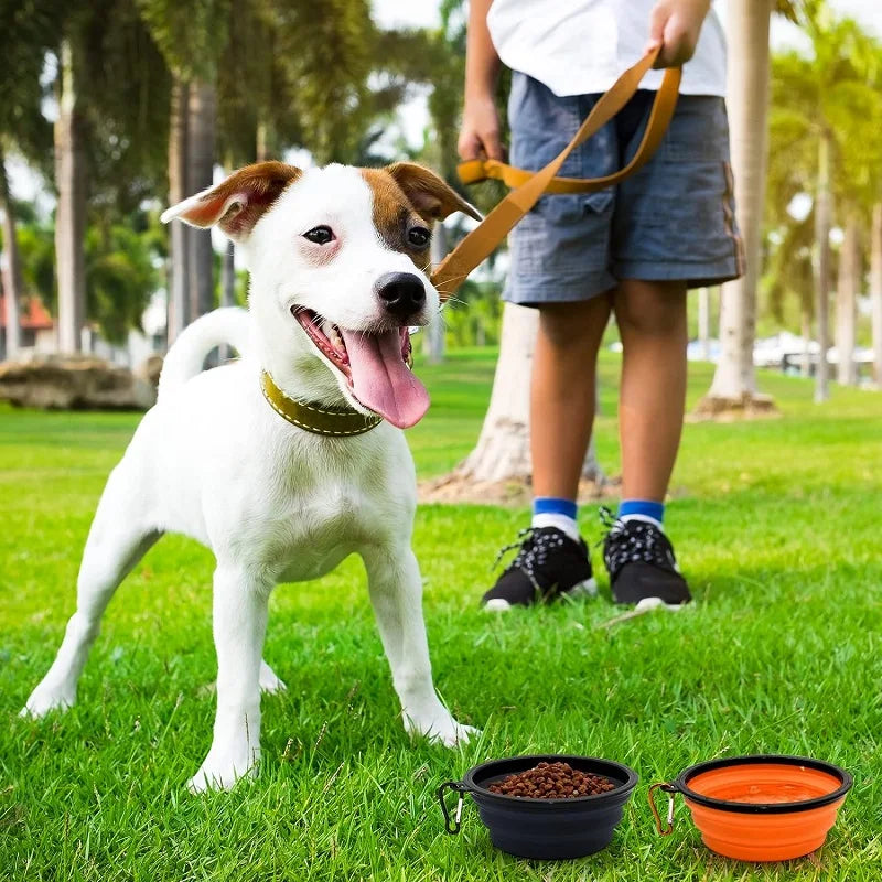 Collapsible Silicone Dog Bowl: Large Portable Travel Bowl for Food & Water, Foldable for Walks and Camping