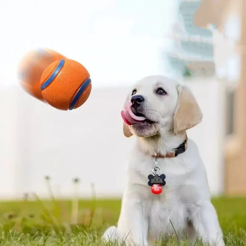 Tough Dog Ball: Solid Rubber Bouncy Fetch & Chew Toy for Small, Medium & Large Dogs and Puppies