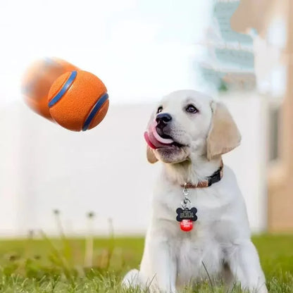 Tough Dog Ball: Solid Rubber Bouncy Fetch & Chew Toy for Small, Medium & Large Dogs and Puppies