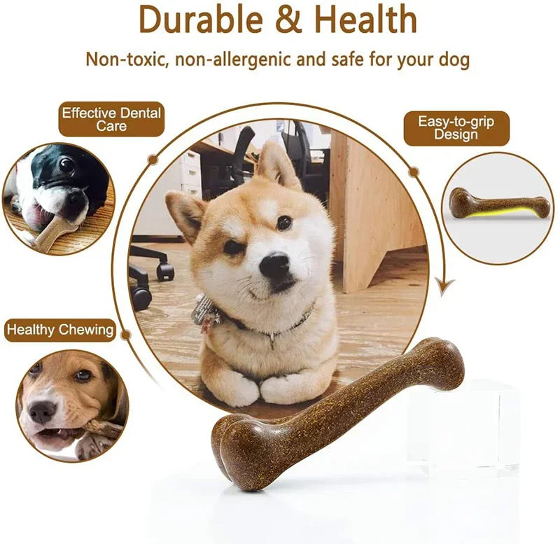 Durable Dog Bone Chew Toy: Tough Dental Chew for Puppies and Small, Medium & Large Dogs