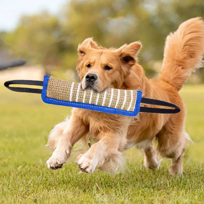 Dog Chew Stick Toy – Durable Teething & Teeth-Cleaning Bite Rod for Training, Small to Large Dogs