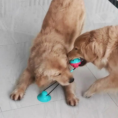 Interactive Dog Puzzle Toy Set – Suction Cup Rope Toy & Treat Dispensing Ball for Chewers, Teething & Boredom