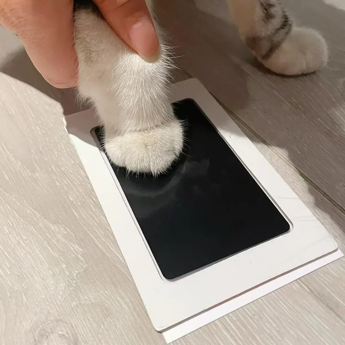 Inkless Paw Print Kit for Dogs, Cats & Babies: No-Touch, Mess-Free Pet Safe Ink Pad with Keepsake Cards