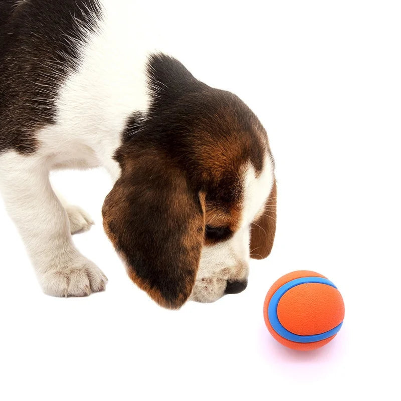 Tough Dog Ball: Solid Rubber Bouncy Fetch & Chew Toy for Small, Medium & Large Dogs and Puppies