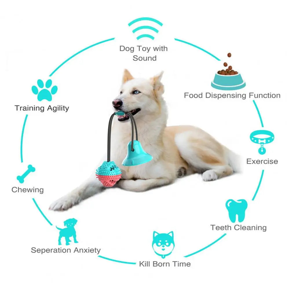 Interactive Dog Puzzle Toy Set – Suction Cup Rope Toy & Treat Dispensing Ball for Chewers, Teething & Boredom
