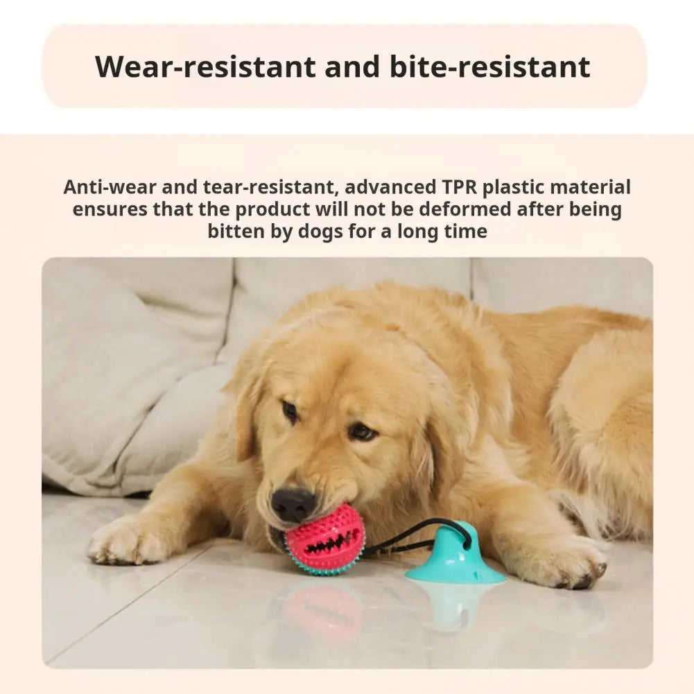 Interactive Dog Puzzle Toy Set – Suction Cup Rope Toy & Treat Dispensing Ball for Chewers, Teething & Boredom