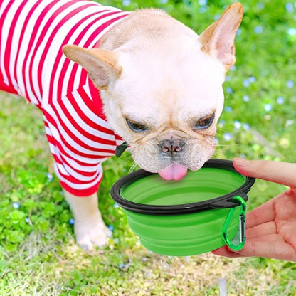 Collapsible Silicone Dog Bowl: Large Portable Travel Bowl for Food & Water, Foldable for Walks and Camping