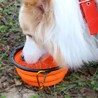 Collapsible Silicone Dog Bowl: Large Portable Travel Bowl for Food & Water, Foldable for Walks and Camping