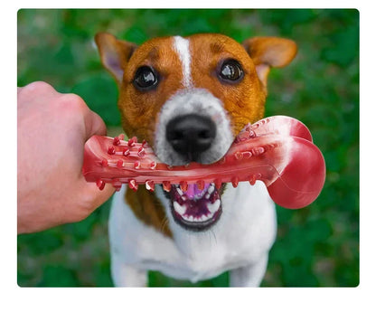 Natural Rubber Dog Bone Chew Toy: Durable Teeth Cleaning Toy for Medium & Large Dogs