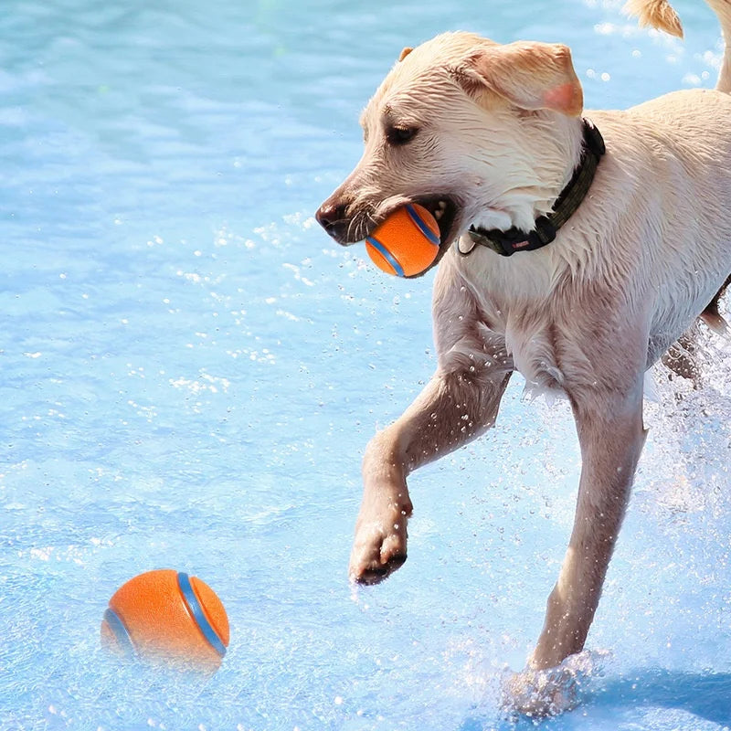 Tough Dog Ball: Solid Rubber Bouncy Fetch & Chew Toy for Small, Medium & Large Dogs and Puppies