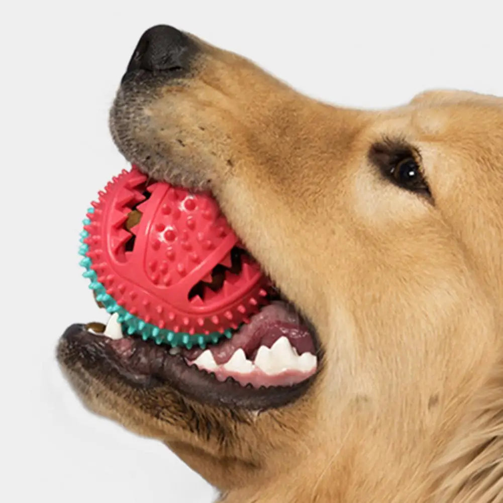 Interactive Dog Puzzle Toy Set – Suction Cup Rope Toy & Treat Dispensing Ball for Chewers, Teething & Boredom