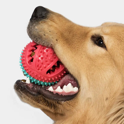 Interactive Dog Puzzle Toy Set – Suction Cup Rope Toy & Treat Dispensing Ball for Chewers, Teething & Boredom