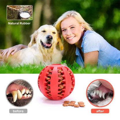 Dog Treat Dispensing Ball, Slow Feeder Chew Toy for Small & Medium Dogs
