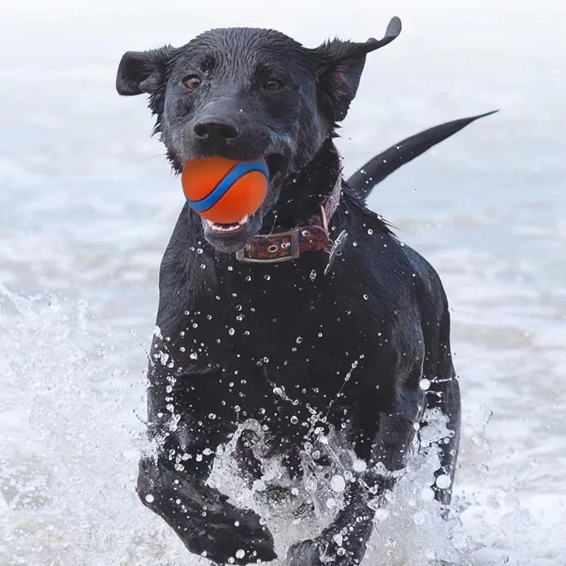 Tough Dog Ball: Solid Rubber Bouncy Fetch & Chew Toy for Small, Medium & Large Dogs and Puppies