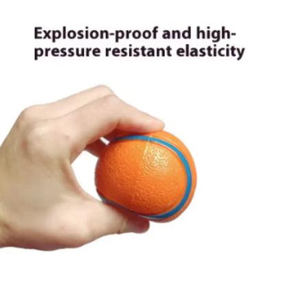 Tough Dog Ball: Solid Rubber Bouncy Fetch & Chew Toy for Small, Medium & Large Dogs and Puppies