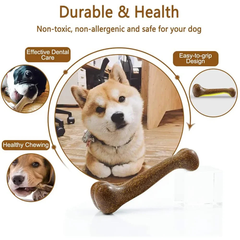 Durable Dog Bone Chew Toy: Tough Dental Chew for Puppies and Small, Medium & Large Dogs