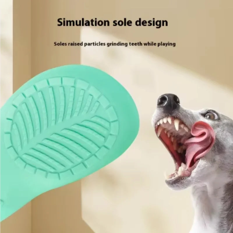 Squeaky Latex Slipper Dog Toy: Teeth Cleaning Chew Toy for Training and Play, Small, Medium & Large Dogs and Puppies