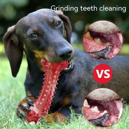 Natural Rubber Dog Bone Chew Toy: Durable Teeth Cleaning Toy for Medium & Large Dogs