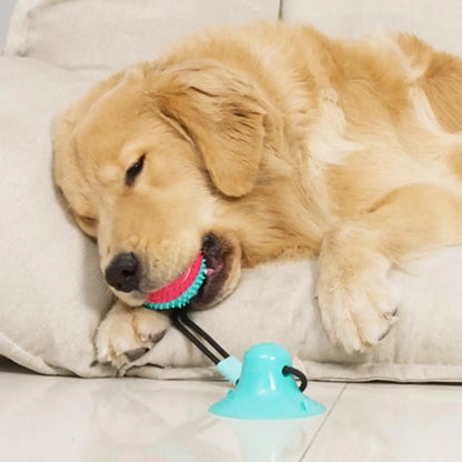 Interactive Dog Puzzle Toy Set – Suction Cup Rope Toy & Treat Dispensing Ball for Chewers, Teething & Boredom
