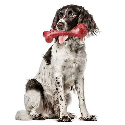 Natural Rubber Dog Bone Chew Toy: Durable Teeth Cleaning Toy for Medium & Large Dogs