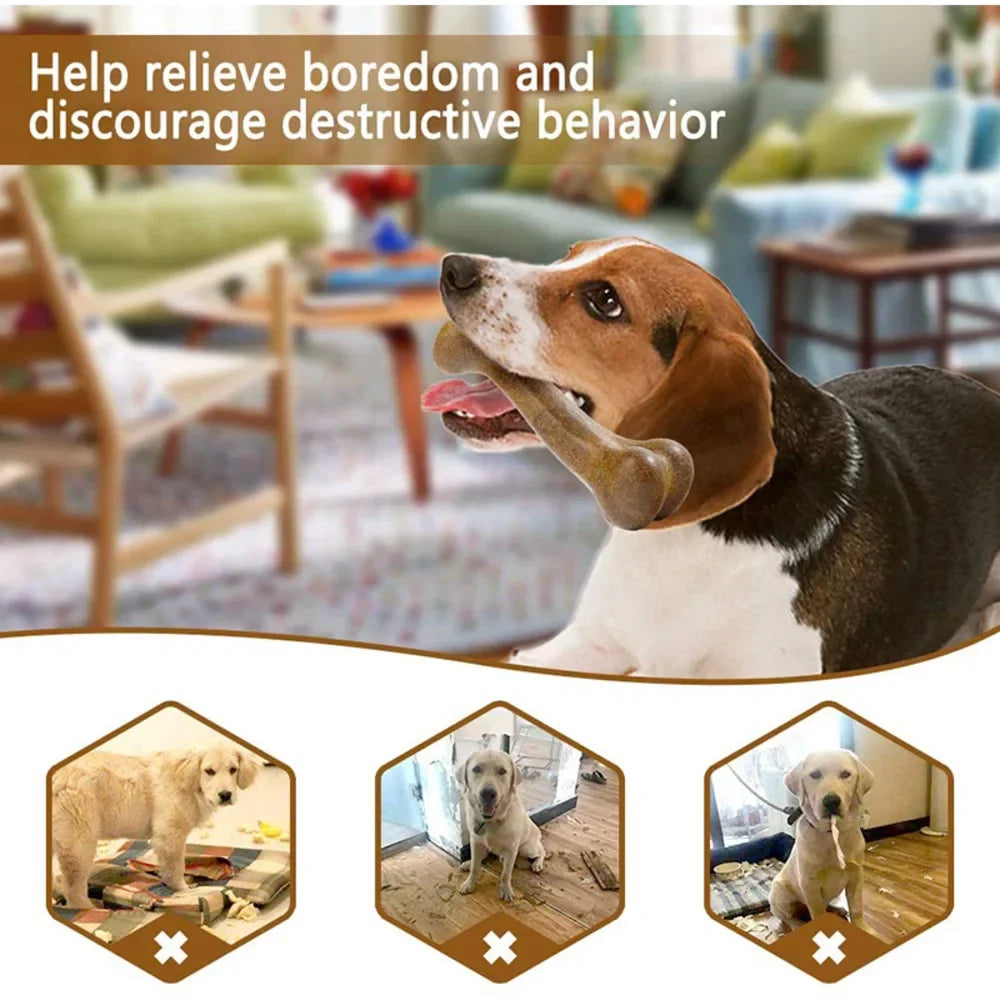 Durable Dog Bone Chew Toy: Tough Dental Chew for Puppies and Small, Medium & Large Dogs