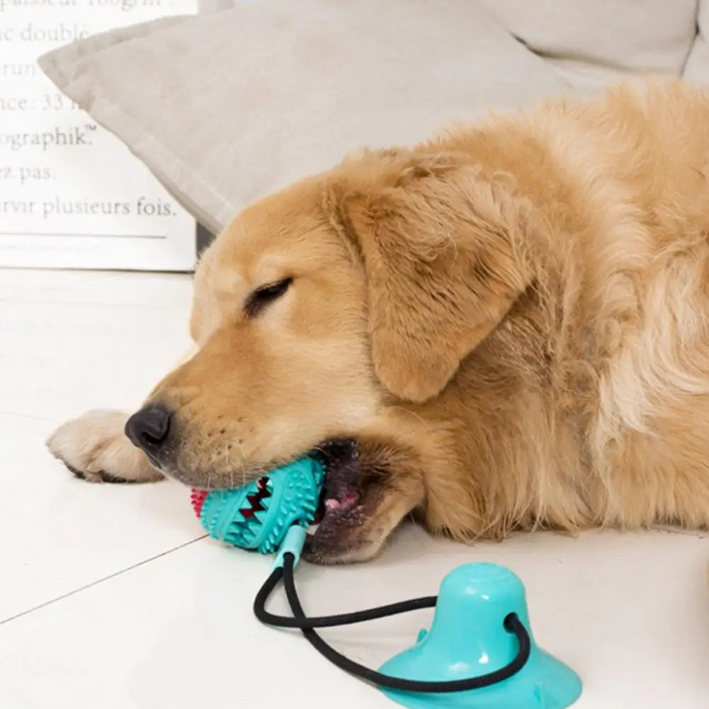 Interactive Dog Puzzle Toy Set – Suction Cup Rope Toy & Treat Dispensing Ball for Chewers, Teething & Boredom