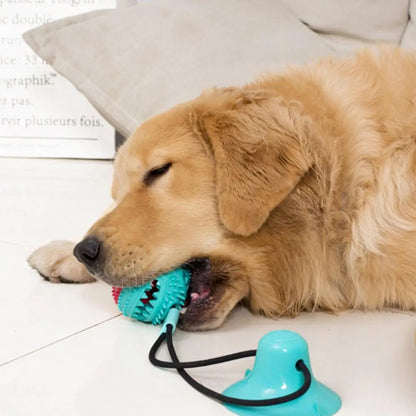 Interactive Dog Puzzle Toy Set – Suction Cup Rope Toy & Treat Dispensing Ball for Chewers, Teething & Boredom