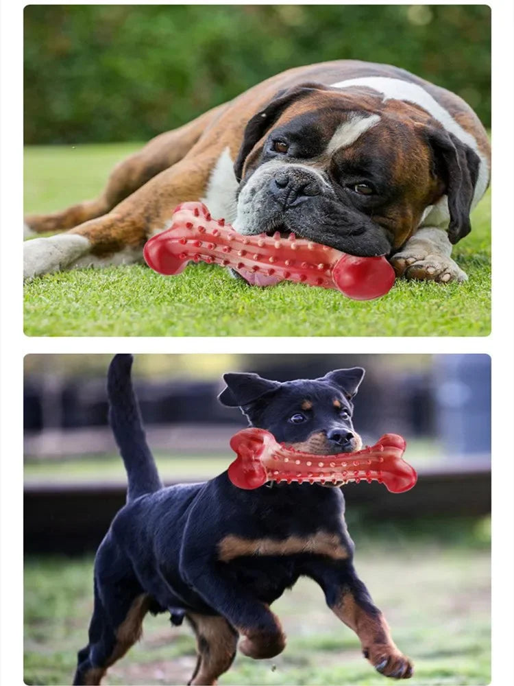 Natural Rubber Dog Bone Chew Toy: Durable Teeth Cleaning Toy for Medium & Large Dogs